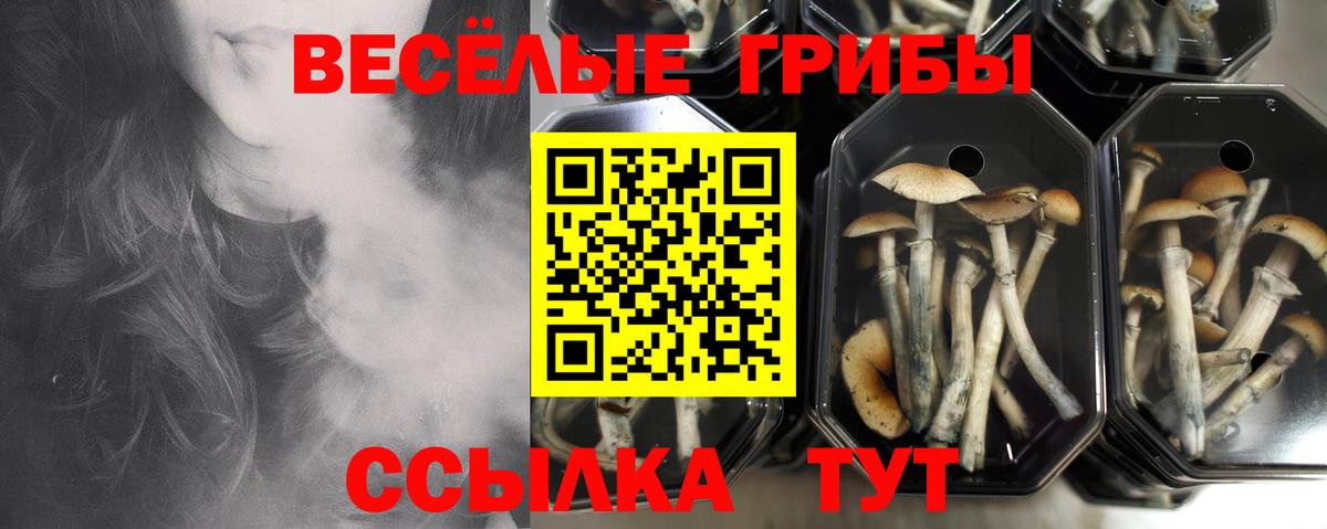 Галлюциногенные грибы MAGIC MUSHROOMS  Галлюциногенные грибы прущие грибы  Каспийск  Вход с VPN 